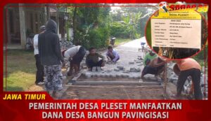 desa pleset