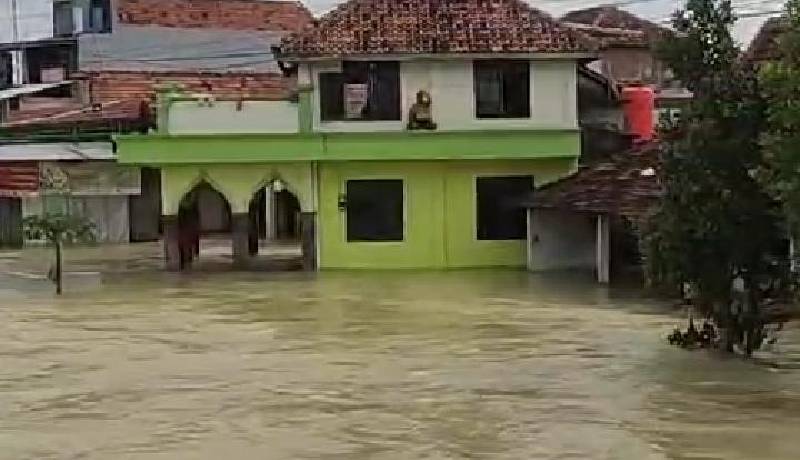 Demak Terendam Banjir Puluhan Ribu Jiwa Mengungsi,