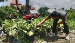 Korem 072/Pamungkas Dukung Ketahanan Pangan Nasional