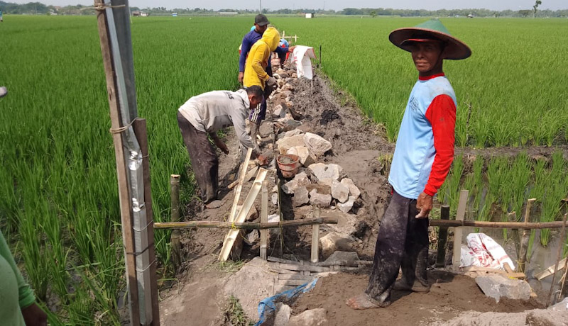 JUT Untuk Tingkatkan Bantu Tingkatkan Pertanina Desa Ploso Lor