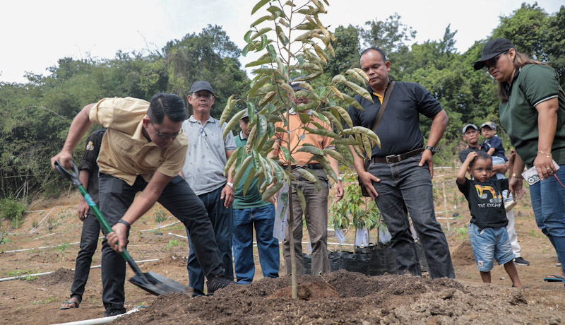 Wakil Bupati Sleman Tanam Pohon Durian Perdana LPMK Jering VIII