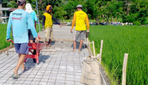 Desa Pleset Bangun Jalan Usaha Tani Dengan Rabat Beton Dari DD 2024