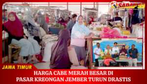 PASAR KREONGAN JEMBER TURUN DRASTIS