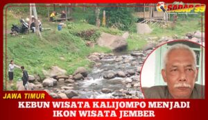 https://sadap99.id/2024/12/01/kebun-wisata-kalijompo-menjadi-ikon-wisata-jember/