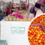 Petani Diuntungkan oleh Mahalnya Harga Tomat