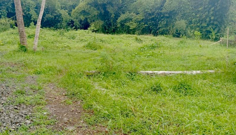 Pembelian Tanah Makam di RW 07 Jember Kidul, Warga Minta Audit Keuangan