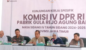 PSX_20250704_155203